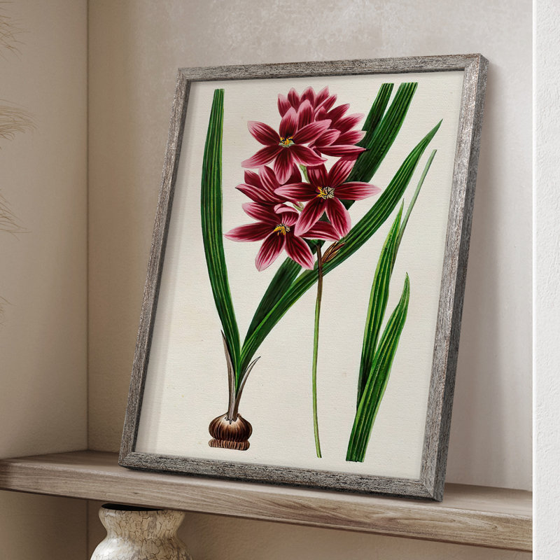 AntiqueFloralFolioV, reproduction encadrée - bois massif, H 11 po x l 9 po