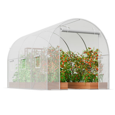 9.5X6.5Ft Walk-In Tunnel Greenhouse With Galvanized Steel Frame And White PE Cover | Gift Idea
