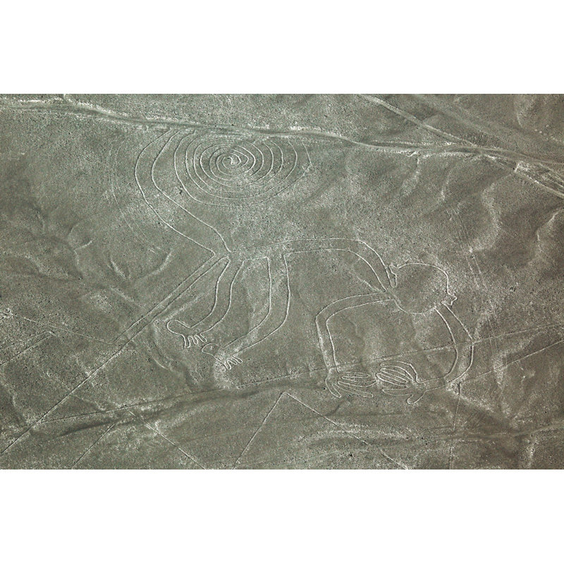 Nazca Lines by Greenpot - Wrapped Canvas Print, 61cm H x 91cm W