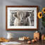 Highland Skye, reproduction d'art encadrée-593545850-593545845