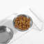 Medium Clear Double Pet Feeder with Black Bowls-1356813951