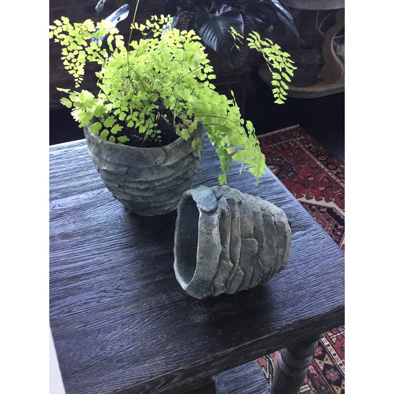 Tillar Pot Planter, 6.5" H x 7.5" W x 7.5" D