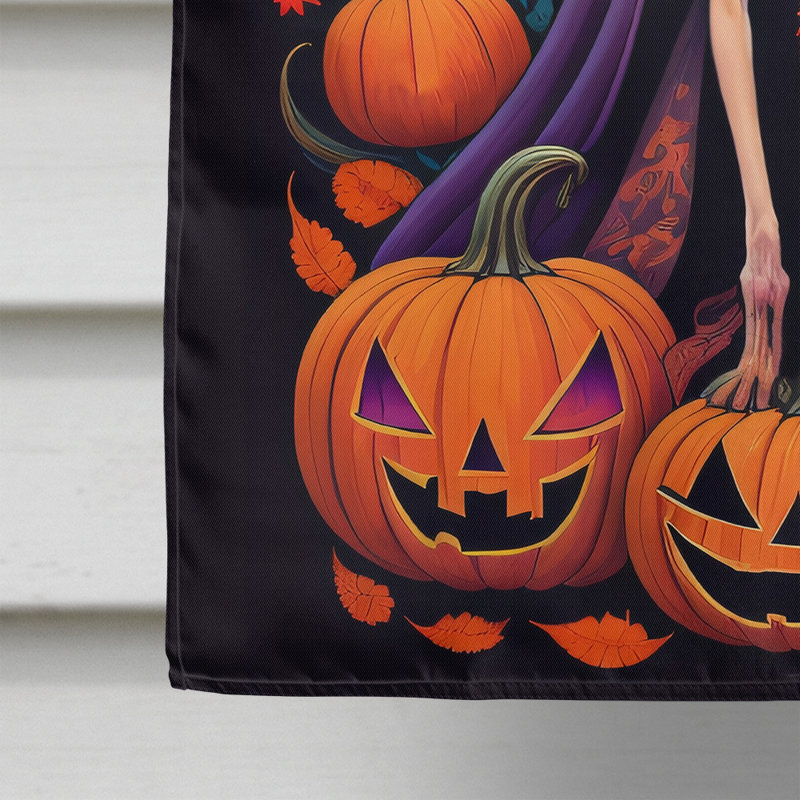 Drapeau de jardin d'Halloween en polyester Jamiria, 40 po x 28 po