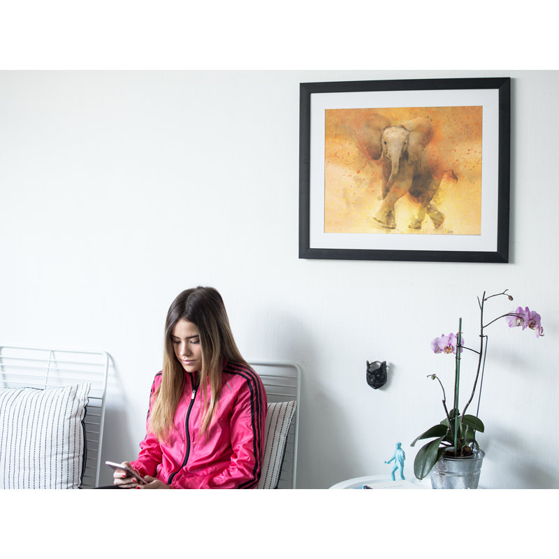 Elephant - Single Picture Frame Print