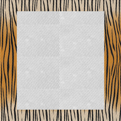 Indoor Rug