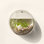 Aquarium mural de luxe Hemington Fish Bubble