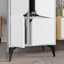 Alpers 6-Door Storage Cabinet High-Quality Engineered Wood Versatile Design-2100075744