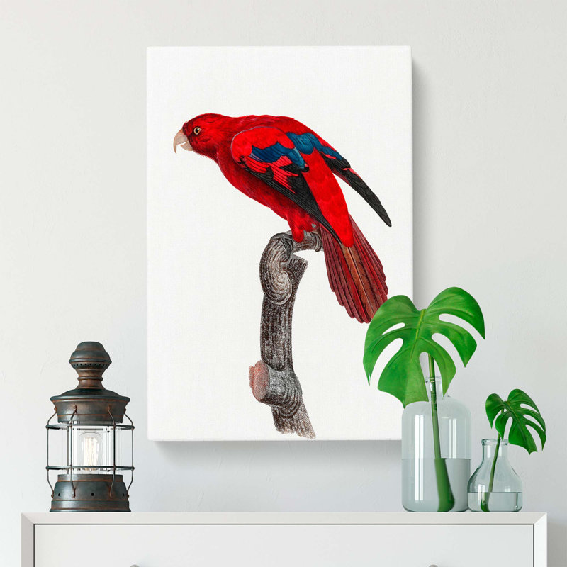 Lory by F. Levaillant - Wrapped Canvas, 60cm H x 40cm W x 3cm D