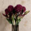 Artificial Arrangement-106401535