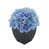 Bleu est en rupture de stock