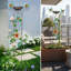 Bol décoratif décoratif pour bain d'oiseaux à motif floral et papillons