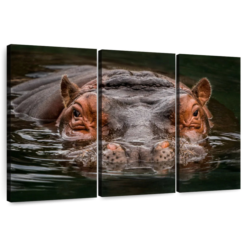 Brampt Submerged Hippo, 32" H x 50" W