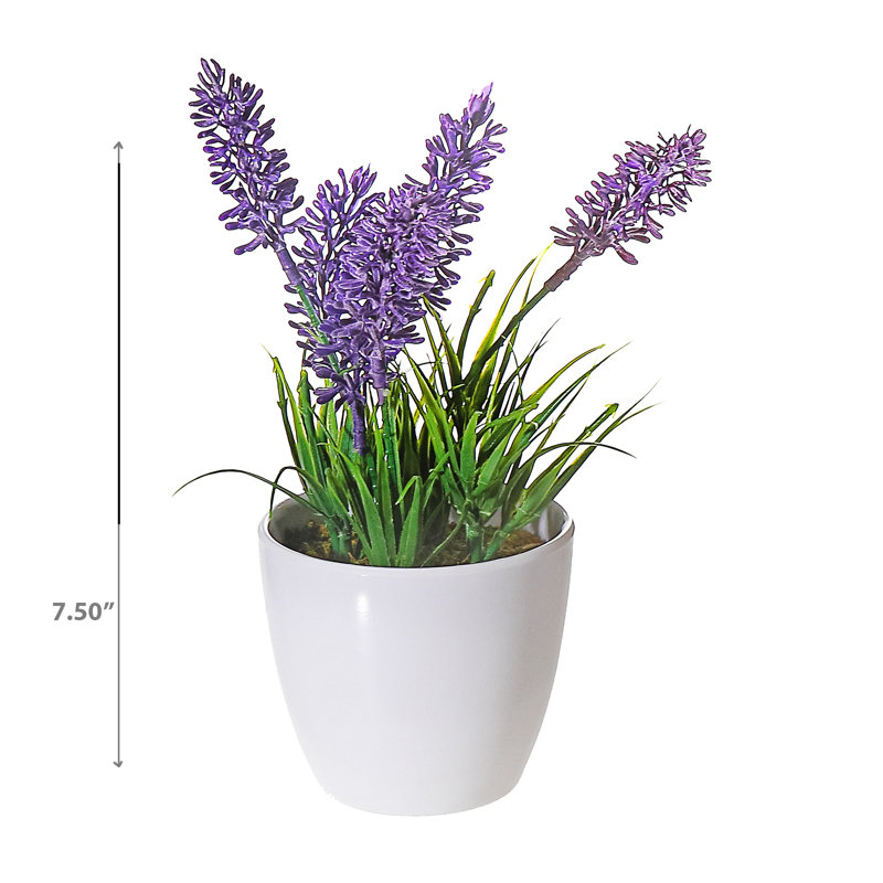 Arrangement floral lavande en pot