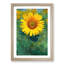The Sunflower - Picture Frame Painting Print-56855640-56855641