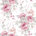 White/Pink