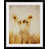 Black Framed is out of stock