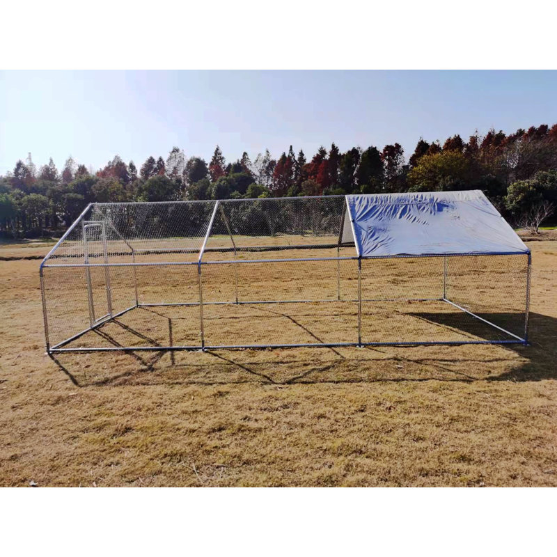 Poulailler Durelle, H 77 po x l 237 po x P 119 po