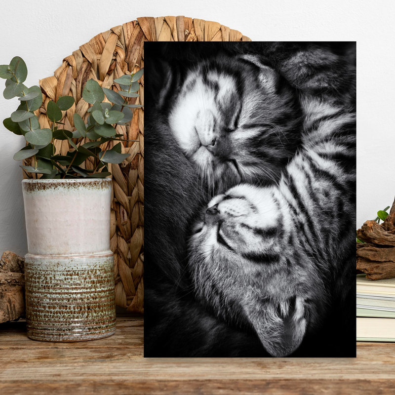 Yin and Yang Contemporary Cat Wall Art Print, 45.72cm H x 30.48cm W