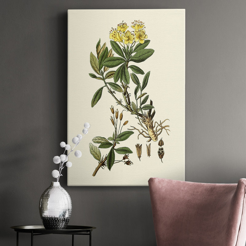Olive Greenery IV - peinture sur toile tendue, H 18 po x l 12 po x P 1,5 po