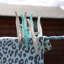 Alannys Plastic Clothes Pin