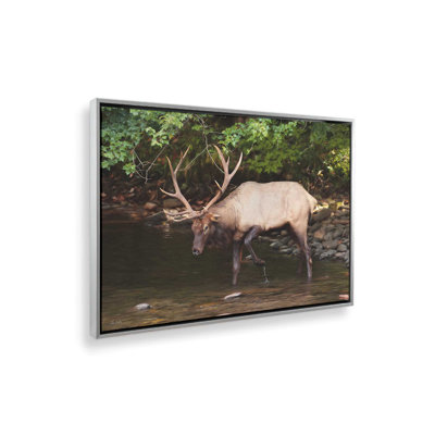 «Cherokee Elk II» par Lori Deiter, reproduction d'art