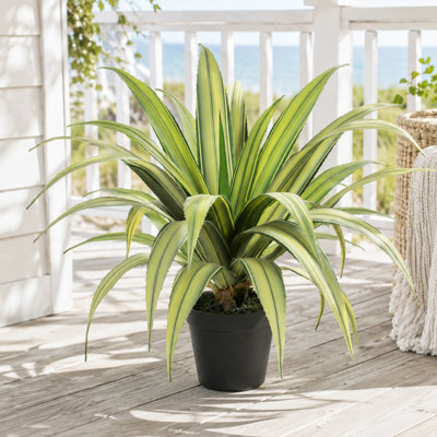 Plante artificielle d'agave en pot noir de 58 cm (23 po), protégée contre les UV, idéale pour la décoration intérieure et extérieure.