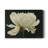" Aglow "-1967015645