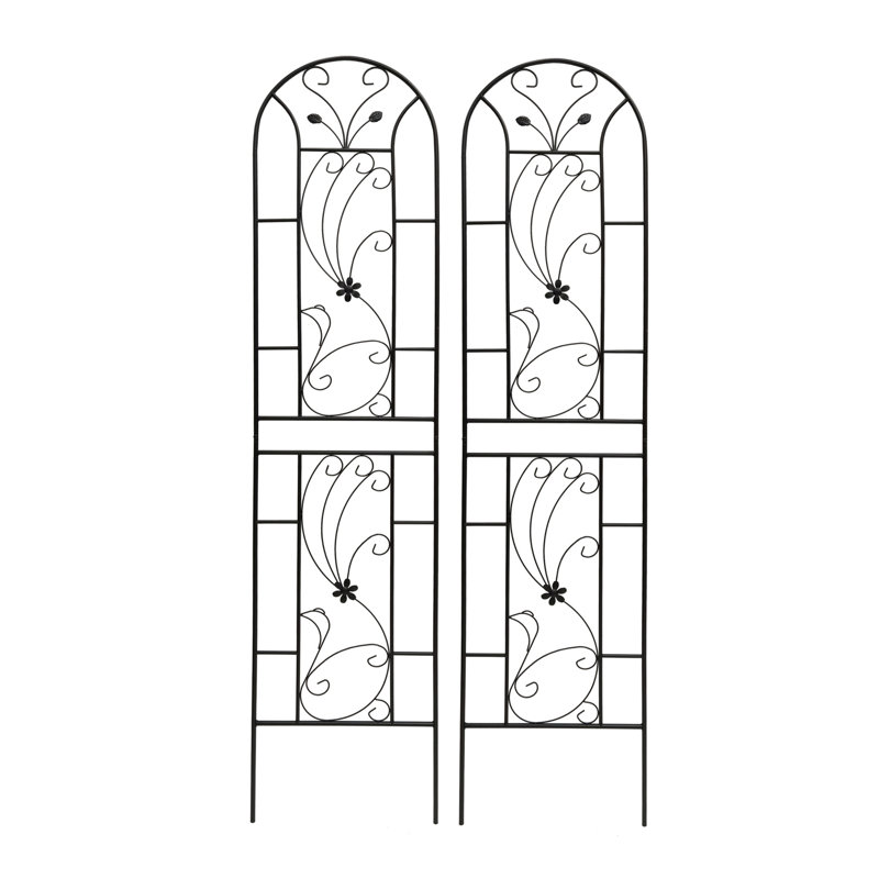Ensemble de treillis de jardin en métal pour plantes grimpantes avec un grand paon