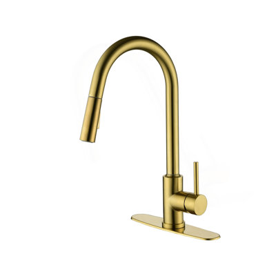 Kitchen Faucet With Pull Down Sprayer