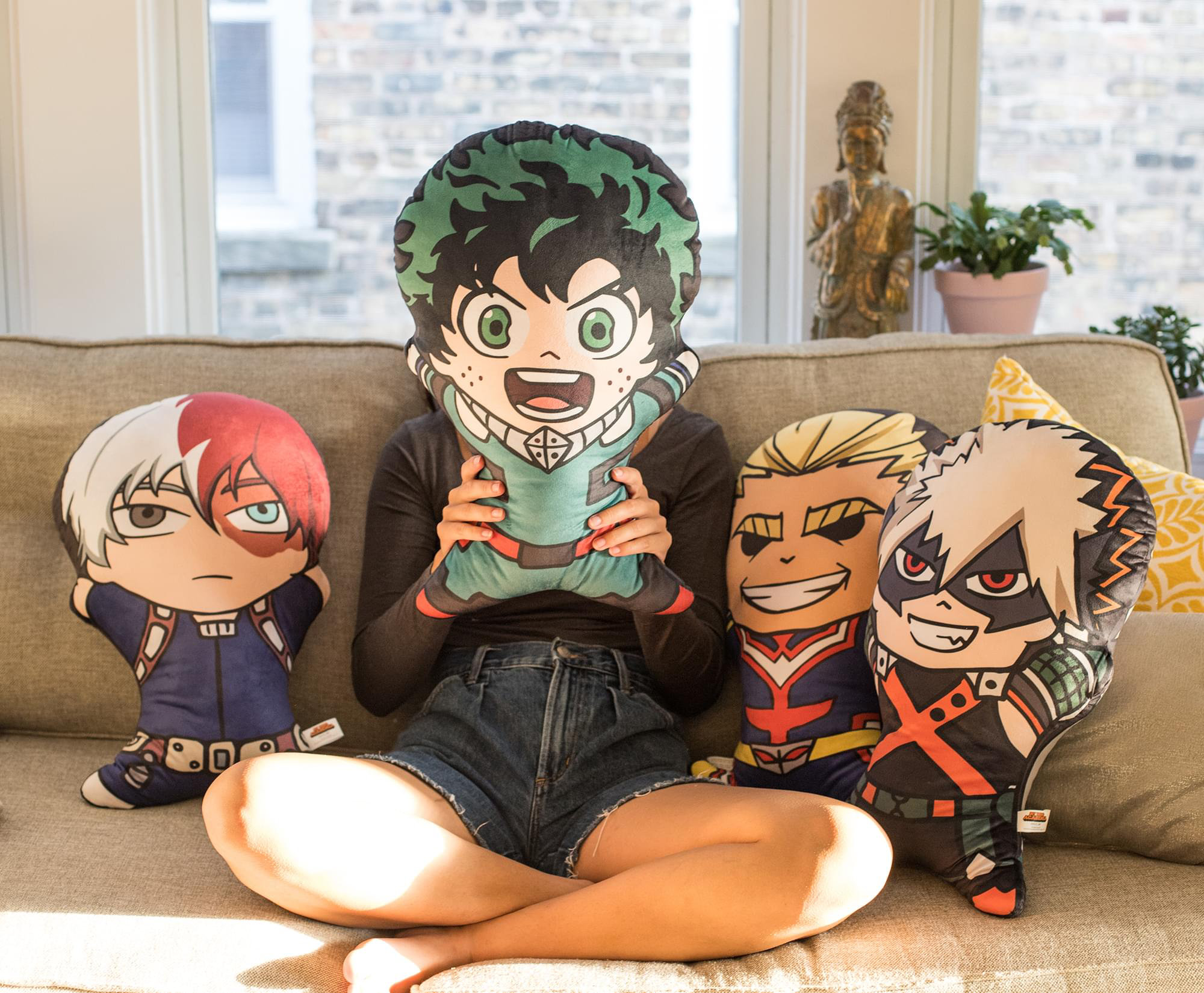 Chapters 2025 throw pillows