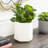 Hersch Table Vase - Set of 2
