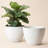 Eldwun 2 Piece Resin Pot Planter, Indoor/Outdoor Garden Flower Pots-801690090-801690093