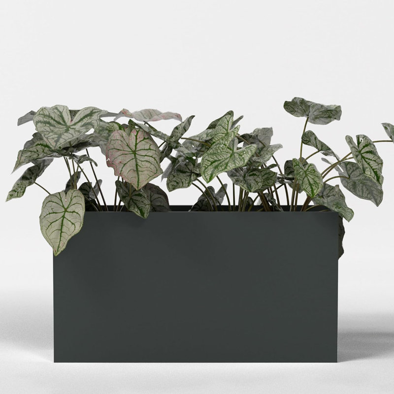 Greenline Fiberglass Alice Large Indoor/Outdoor Rectangle Planter -, 32" H x 16" W x 60" D, Matte Charcoal