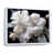 Cadre flottant blanc