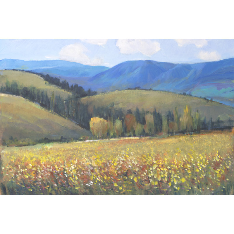 Mountain Pass I - Painting, 81 cm H x 122 cm W, Black Floater Framed