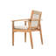 Chaises de salle à manger d'extérieur, fauteuil de patio, pour cour, piscine, jardin, ensemble de 2