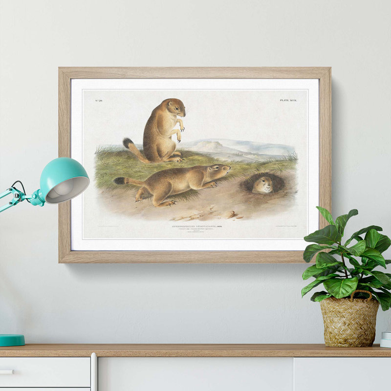 Prairie Dogs by J.W. Audubon - Picture Frame Painting Print, 36cm H x 48cm W x 2cm D, Oak Framed