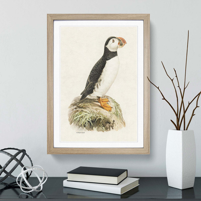 Atlantic Puffin by Von Wright - Framed Print, 45cm H x 33cm W x 2cm D, Oak Framed
