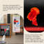 Aquarium sur pied 19,69 po-434359940