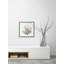 Sea Vegetables - Single Picture Frame Print-2091051849