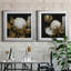 Cotton Balls I - Cadre photo-1492861062-1492861061-1492861057