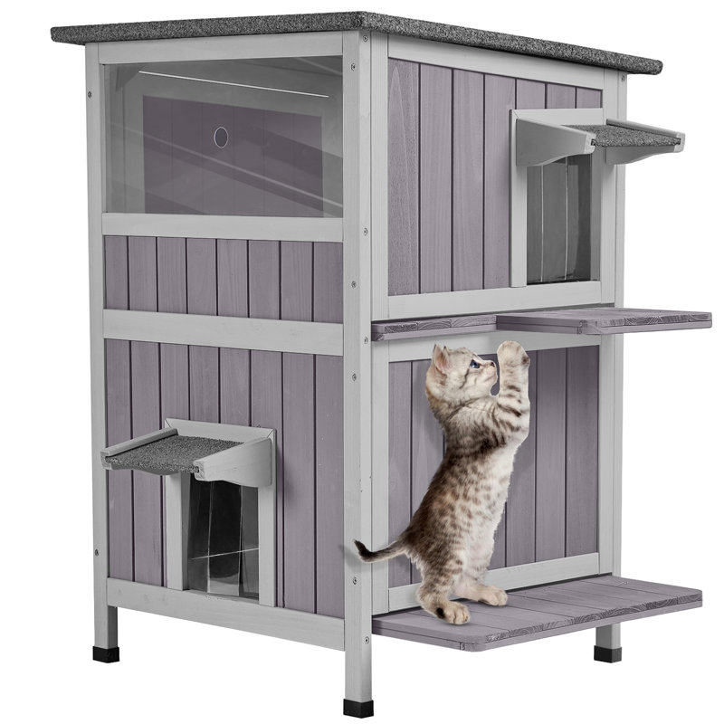 Abri pour chat portatif extérieur, Non