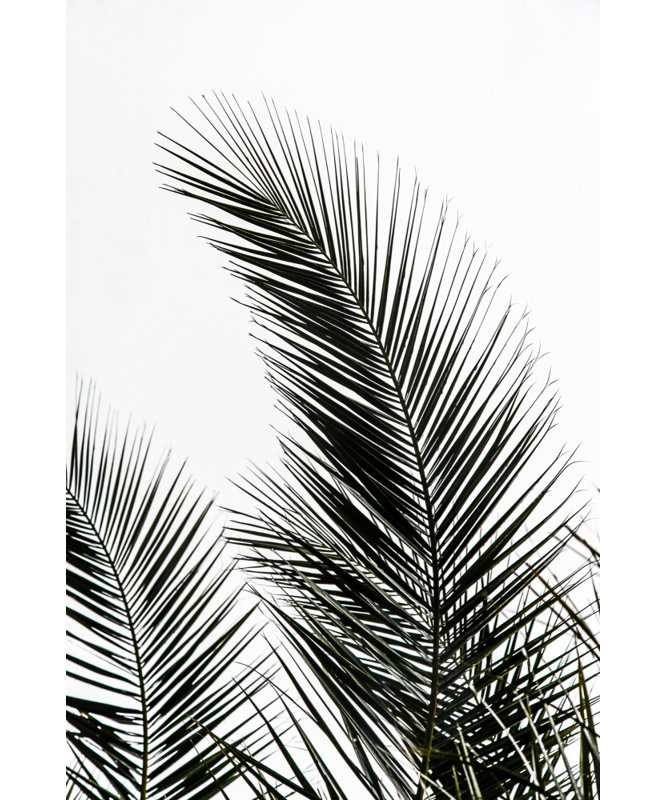Wrapped Canvas Print, 50.8 cm H x 76.2 cm W