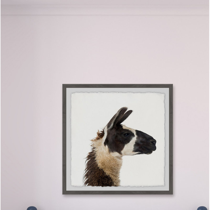 « llama profile », reproduction d’impression encadrée Aghavary, H 18 po x l 18 po