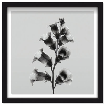 Ossified Petals I Shadowbox Floral & Botanical Print by Oliver Gal, Black Frame, 12 x 12