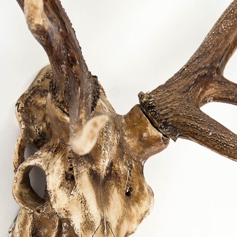 Deer Skull Handmade Rustic Landscape & Nature Wall Decor on Resin
