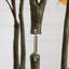 6 pi Arbre d'automne artificiel Oyama Magnolia