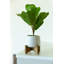 Figuier artificiel 8 po en pot