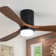 52" Nicola 3 - Blade LED Standard Ceiling Fan with Remote Control and  Light Kit Included