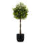 6' Artificial Laurel Tree
